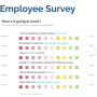 employeesurvey.png