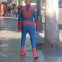 spidermark.png